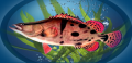 :  Android OS - Fishing PRO v1.10 (8.2 Kb)