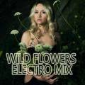 :  - VA - Wild Flowers - Electro Mix (2015) (23.6 Kb)