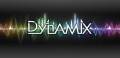 : Dynamix (Cache) (4.7 Kb)