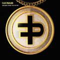 : Trance / House - Flux Pavilion feat. Riff Raff - Who Wants To Rock (24.7 Kb)