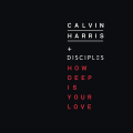 : Calvin Harris & Disciples - How Deep Is Your Love (Radio Edit)