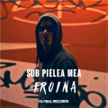 : Carla's Dreams - Sub Pielea Mea (Midi Culture Remix)  (18.9 Kb)