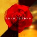 : John De Sohn - Wild Roses (Radoi Edit)