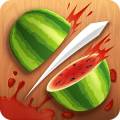 :    Android OS - Fruit Ninja (Cache) (19.9 Kb)