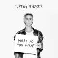:  - Justin Bieber - What Do You Mean (10.8 Kb)