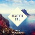 : Lost Frequencies Feat. Sandro Cavazza - Beautiful Life 