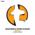 : MagicSense & Vittorio Soltanni - Arctica (Skylex Remix) [TFB Records]