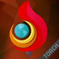 :  Portable   - Torch Browser 65.0.0.1617 Portable by FoxxApp (11.1 Kb)