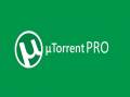 : Torrent 3.5.4 build 44520 Pro Portable by 379