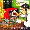 : Wishbone Ash - Why Don't We