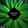 : Trance / House - Moritz Guhling - Into The Woods (Original Mix) (20.7 Kb)