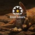 : Kenshi Kamaro - Sand Fox (Christian Monique Remix)