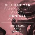 : Drum and Bass / Dubstep - Blu Mar Ten - Remembered Her Wrong (Anile Remix) (27.5 Kb)