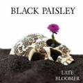 : Black Paisley - Autumn