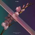 : Flume Feat. Kai - Never Be Like You (12.6 Kb)
