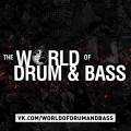 : Drum and Bass / Dubstep - Levrige  The Legend (22.7 Kb)