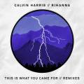 : Calvin Harris Feat. Rihanna - This Is What You Came For (Dillon Francis Remix)