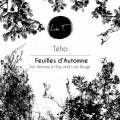 : Trance / House - Teho - Feuilles D'Automne (Original Mix) (31.8 Kb)