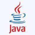 :  - Java SE Runtime Environment 10.0.2 (x64) [En] (9.8 Kb)
