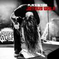 :  - Joyous Wolf - Place In Time