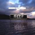 :  - Reef - Back in My Place
