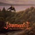 : Jammerdal - Paint By Numbers