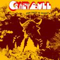 : Crazy Bull - Pull You In