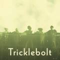 : Tricklebolt - Open The Gate