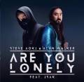 : Steve Aoki & Alan Walker - Are You Lonely (feat. ISK) (10.5 Kb)