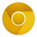 : Google Chrome Canary Portable 70.0.3500.0 32-bit PortableAppZ (9.2 Kb)