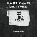 : H.A.N.T, Gate 85 feat. Ira Ange - Cassiopeia (Original Mix) (18 Kb)