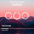 : Trance / House - TRITICUM - Antidote (Original Mix) (15.7 Kb)
