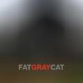:  - Fat Gray Cat - Pushing Up Flowers (6 Kb)