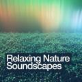 : Soundscapes