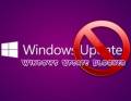 : Windows Update Blocker 1.8 Portable (8.3 Kb)