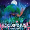 : Goodbye June - Magic Valley - 2017