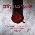 : Whitesnake - Now You're Gone (Chris Lord-Alge Single Remix) (30.1 Kb)