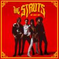 :  - The Struts - One Night Only (21.2 Kb)