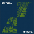 : Trance / House - Carlo Whale - Midnight (Original Mix) (12.3 Kb)