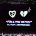 : Lil Peep & XXXTentacion - Falling Down (19.1 Kb)