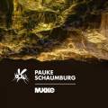 : Trance / House - Pauke Schaumburg - Transit (Original Mix) (21.6 Kb)