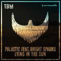 :  - Palastic Feat. Bright Sparks - Lying In The Sun (20.1 Kb)