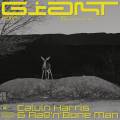 : Calvin Harris & Rag'n'Bone Man - Giant (19.8 Kb)