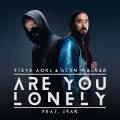 : Trance / House - Steve Aoki & Alan Walker Feat. Isak - Are You Lonely (16.2 Kb)