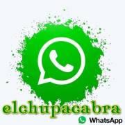 :    - WhatsApp 2.2319.9 RePack (& Portable) by elchupacabra (29.9 Kb)