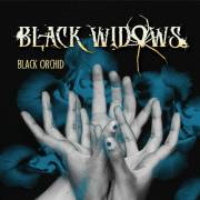 : Black Widows - Black Orchid