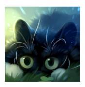 : Sneaky Cat Live Wallpaper  v1.0.2 Paid (10.9 Kb)