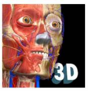 : Anatomy Learning - 3D   2.1.425 (13.4 Kb)