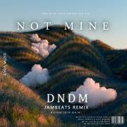 : DNDM - Not Mine (JamBeats remix) (42.7 Kb)