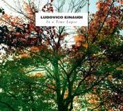 : Ludovico Einaudi - Experience